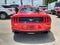 2019 Ford Mustang EcoBoost Premium Fastback