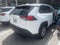 2025 Toyota RAV4 XLE FWD (GS)