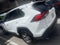 2025 Toyota RAV4 XLE FWD (GS)