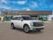 2027 Hyundai PALISADE HYBRID Blue SEL 8P