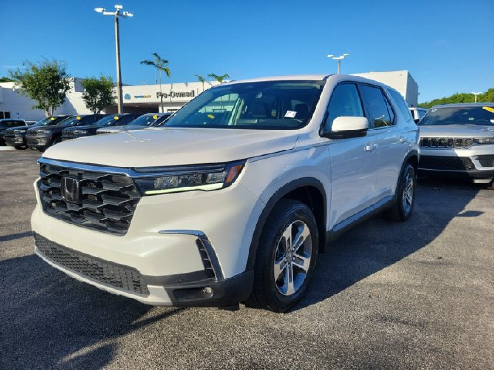 2024 Honda Pilot EX-L 8 Passenger