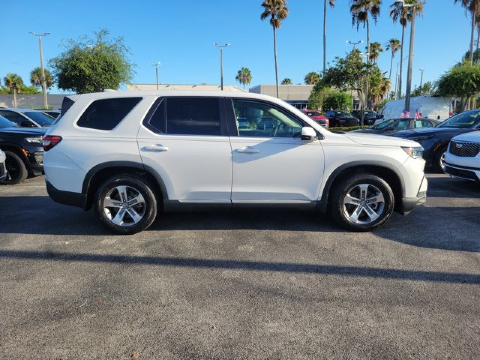 2024 Honda Pilot EX-L 8 Passenger